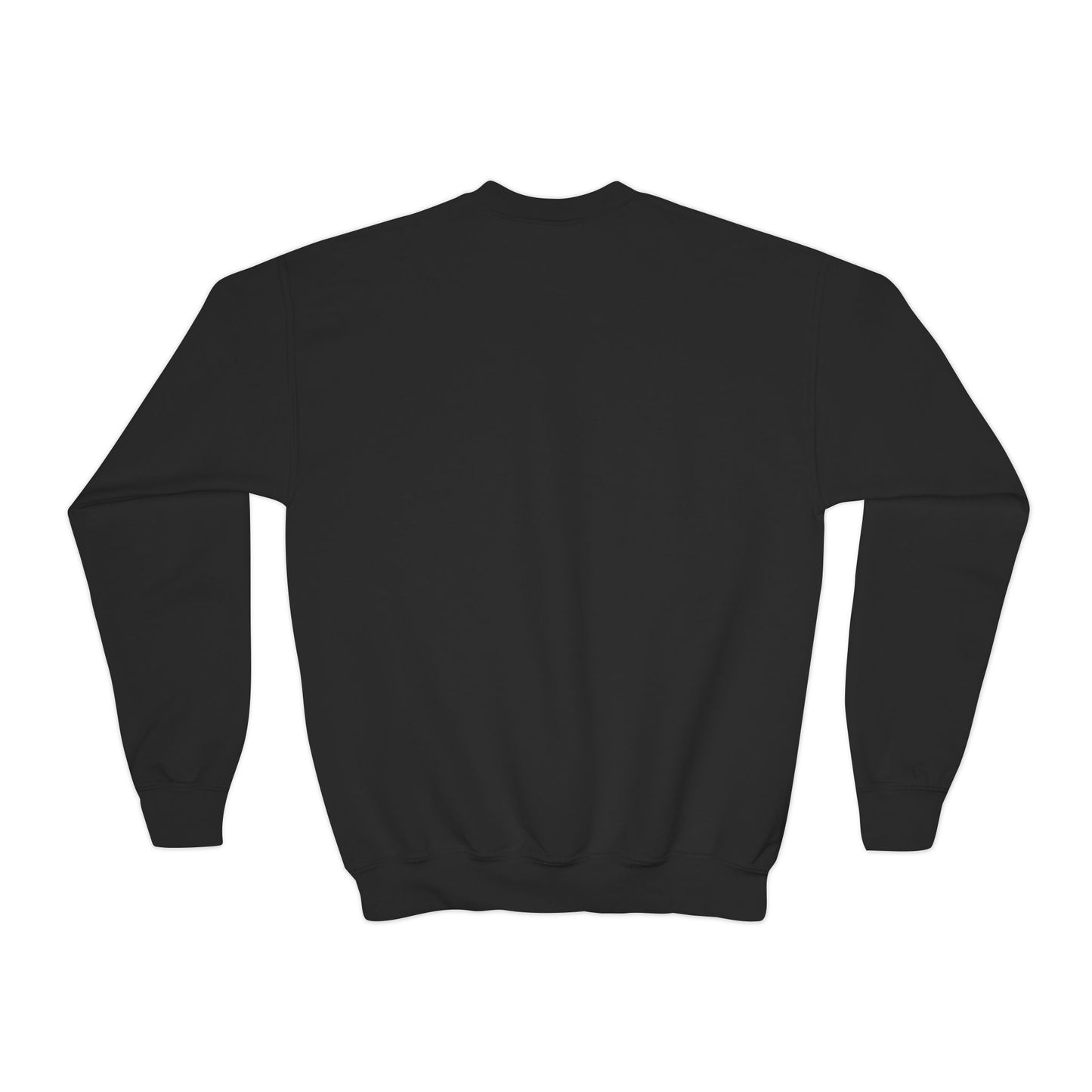 (Youth) Beast Beauty Brains Sports Club Sweater