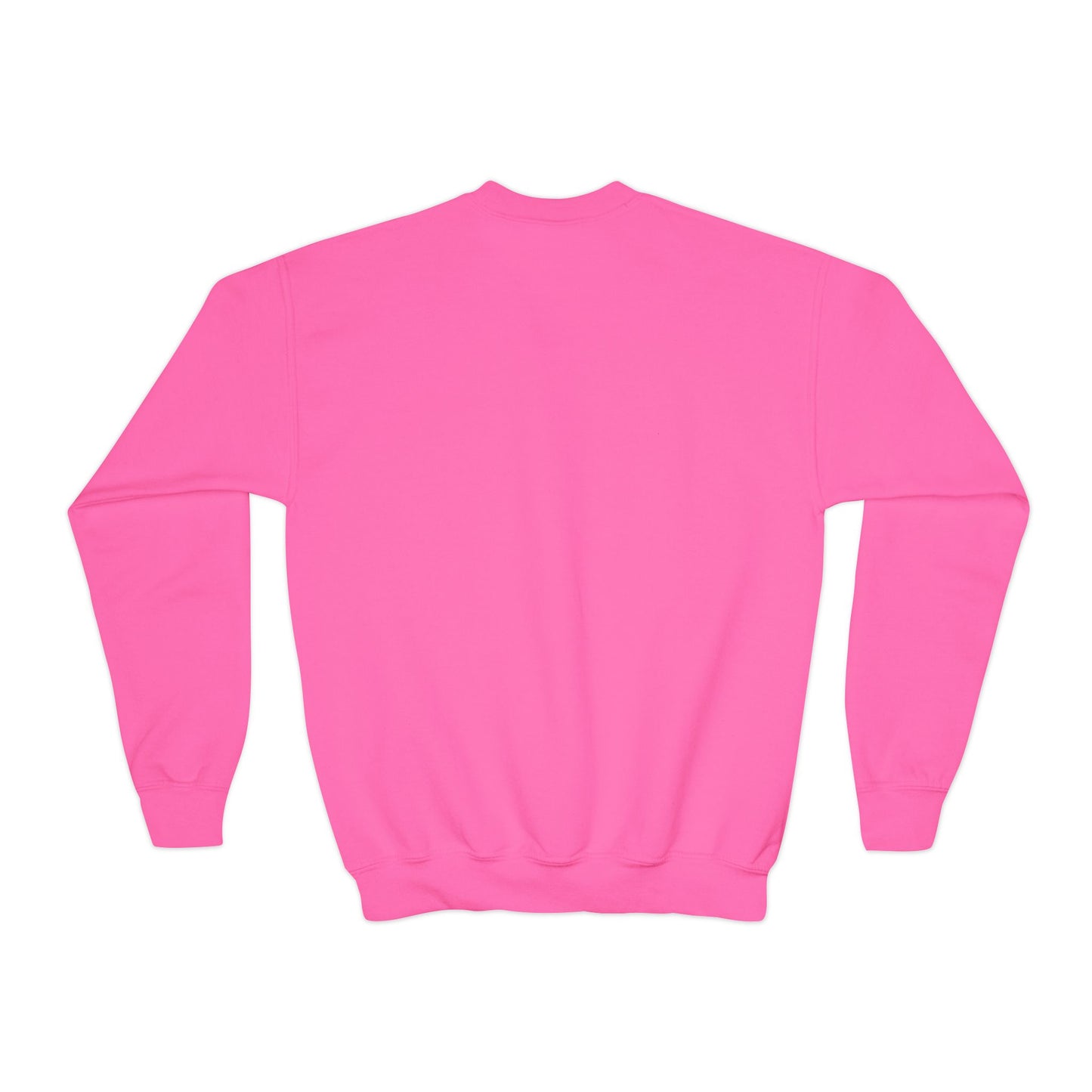 (Youth) Beast Beauty Brains Sports Club Sweater