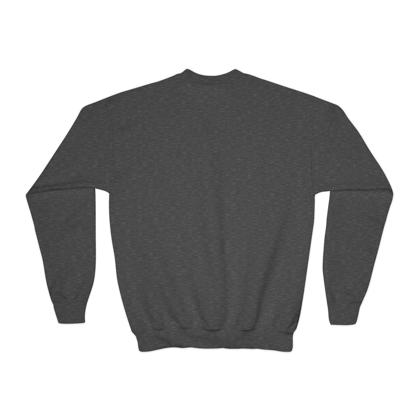 (Youth) Beast Beauty Brains Sports Club Sweater
