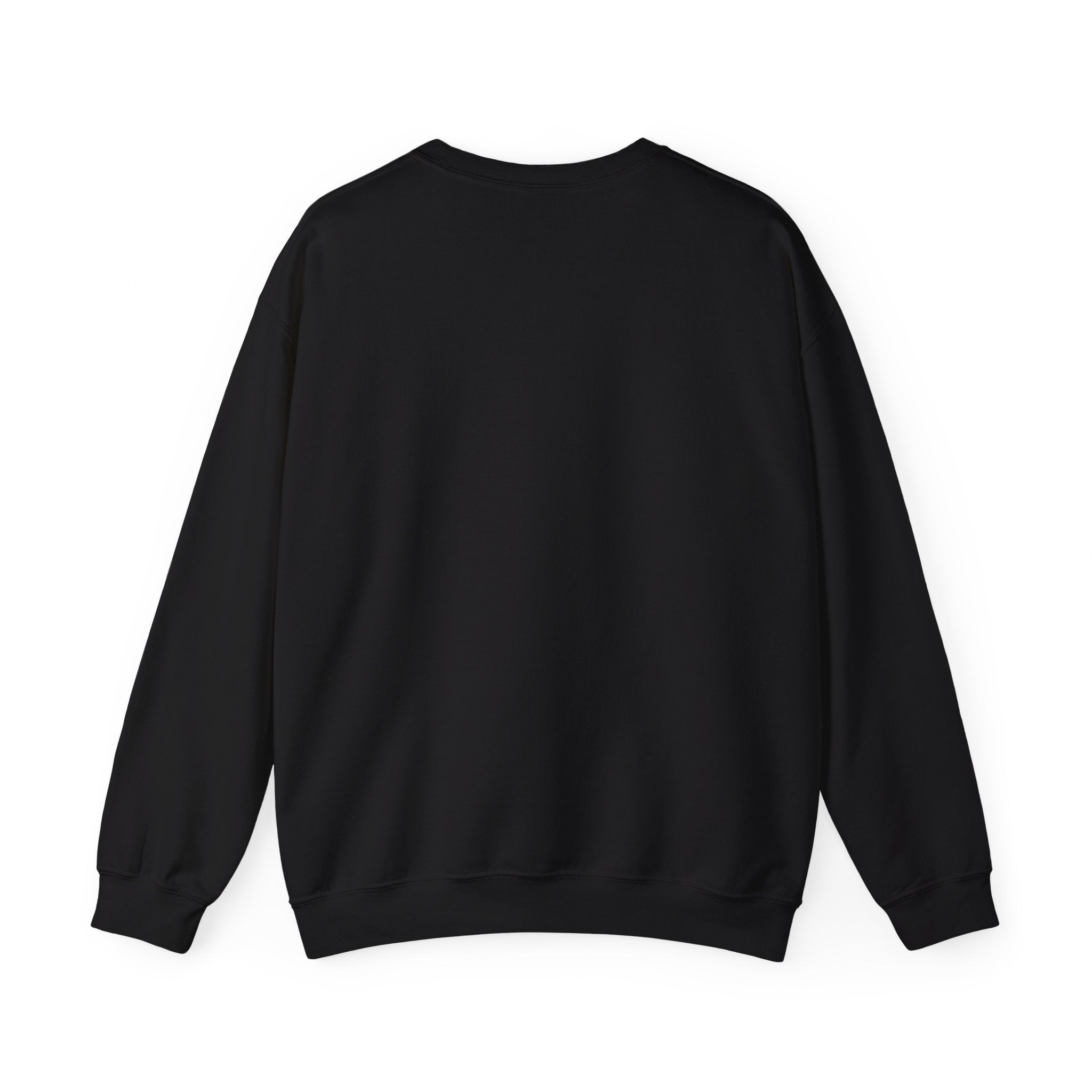 Crewneck sweater best sale