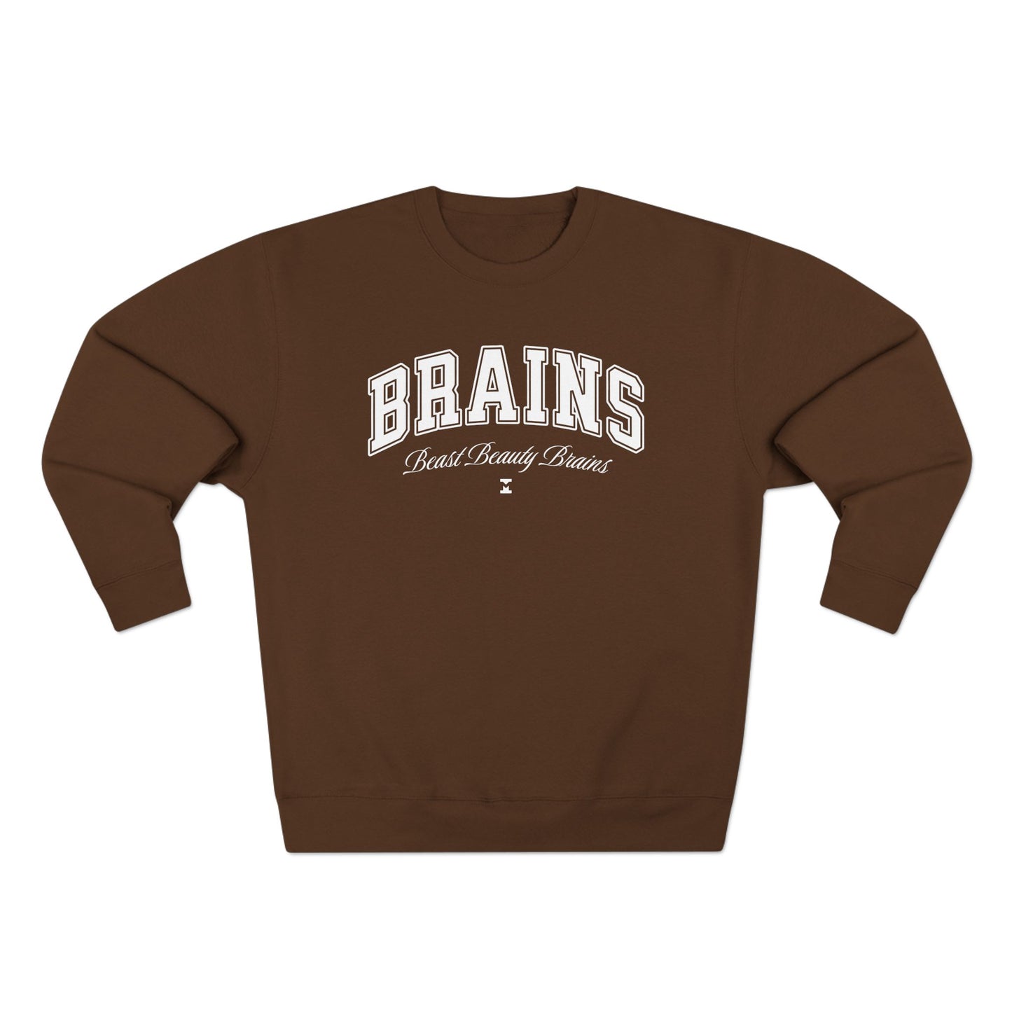 Brains Varsity Sweater